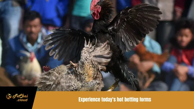 Experience today's hot betting forms